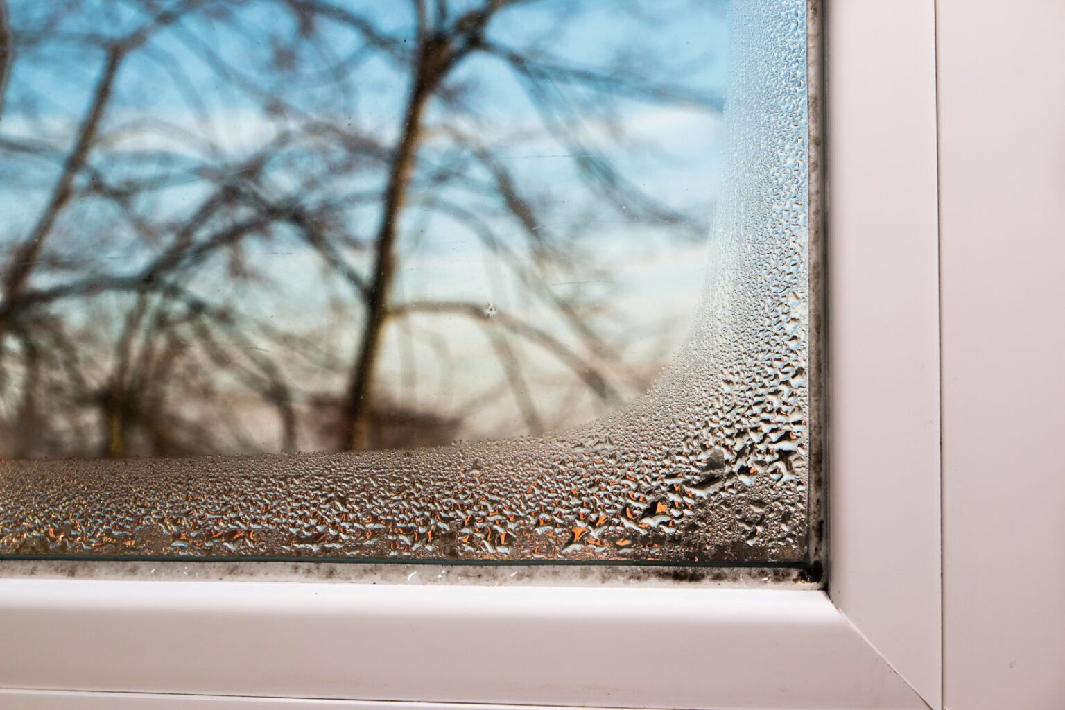 "La condensation et le point de rosée dans les logements", Dominique — free download